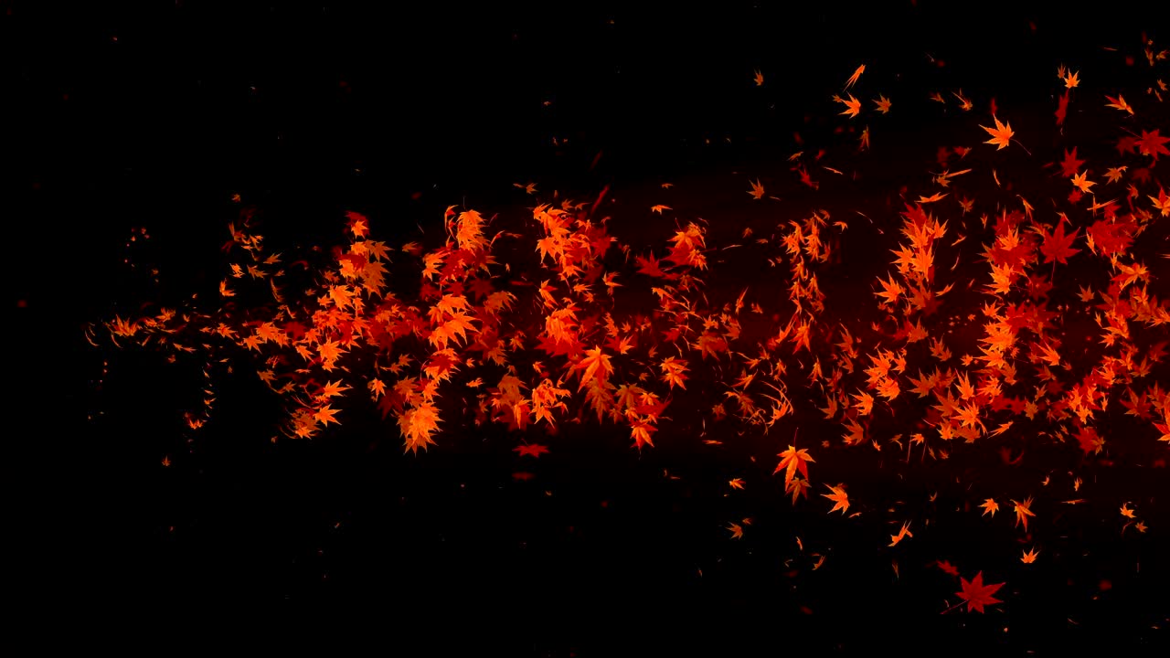 다채로운 메이플과 잎에서 나온 소용돌이, 가을 잎의 나선형 반이는 입자, 춤추는 잎, 다채로운 자연 터널 루프 애니메이션.
