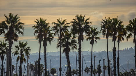 manhattan beach city a través de las palmeras durante un lapso de tiempo al atardecer