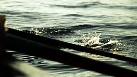 Close-up-on-silhouette-of-rowing-paddles-in-oarlocks-propelling-boat-over-water