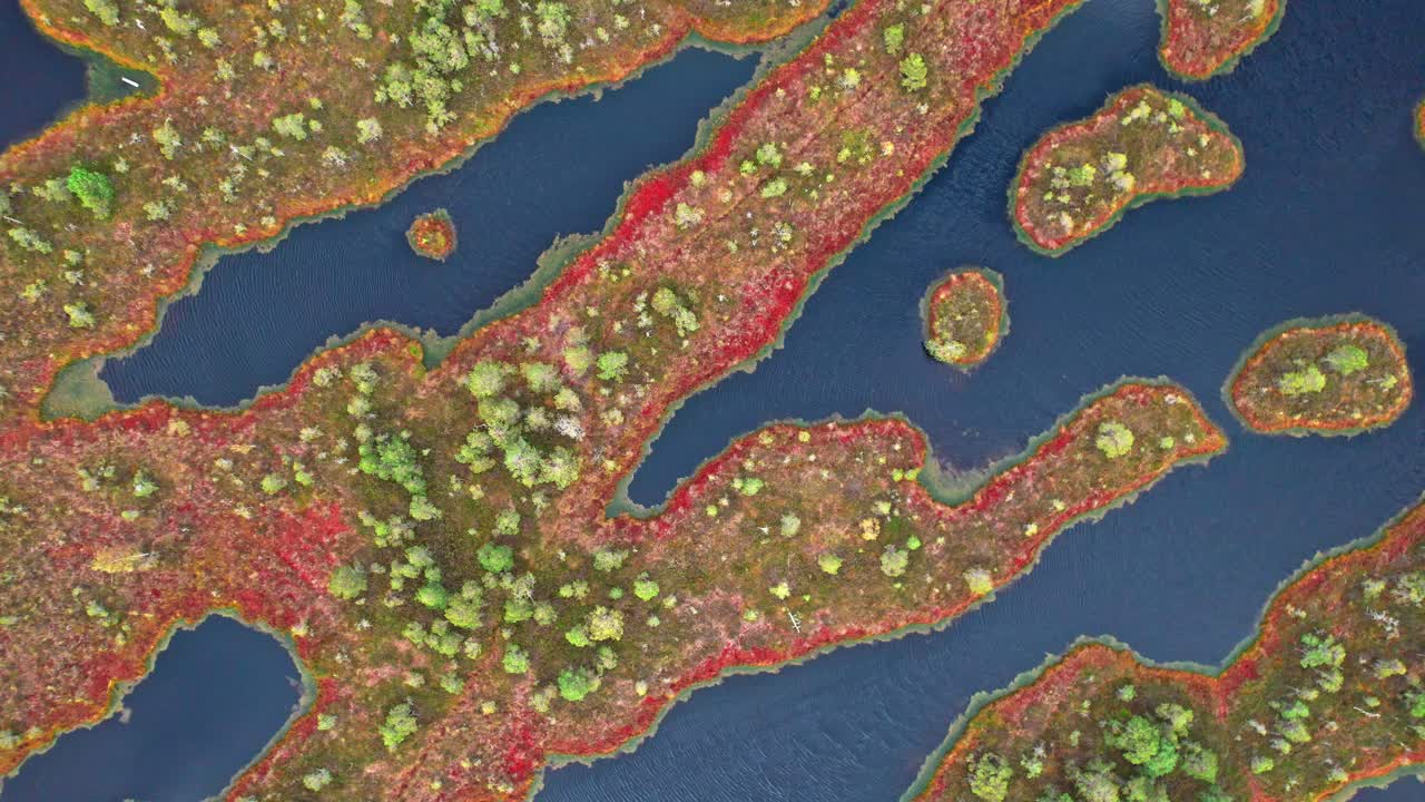 Aerial view of the vibrant Kemeri swamp in Latvia during fall