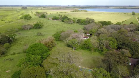 wetlands of northeast argentina shooted with drone