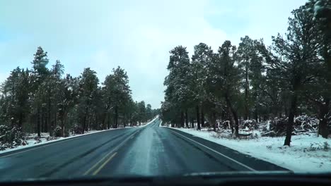 Camino-Nevado-Con-árboles-A-Los-Lados