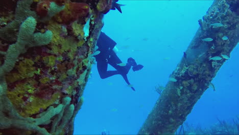 A-lonely-scuba-diver-explore-a-pier-piling