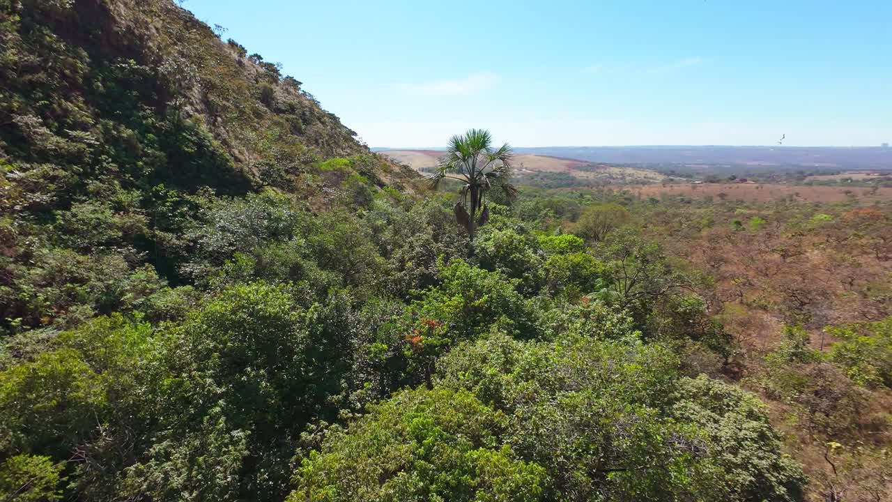 Water cascading through verdant Cerrado landscape, highlighting Brazilian ecosystem's lush vegetation and dynamic natural environment