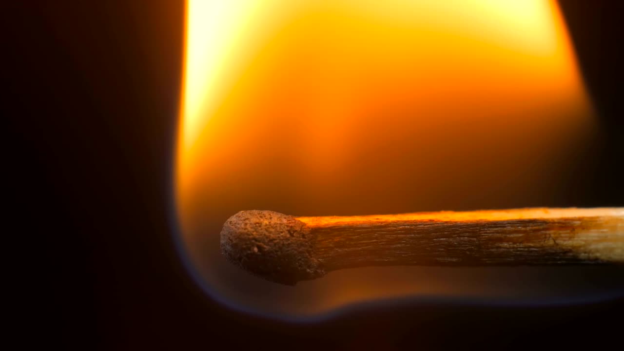 나무 매치 연소