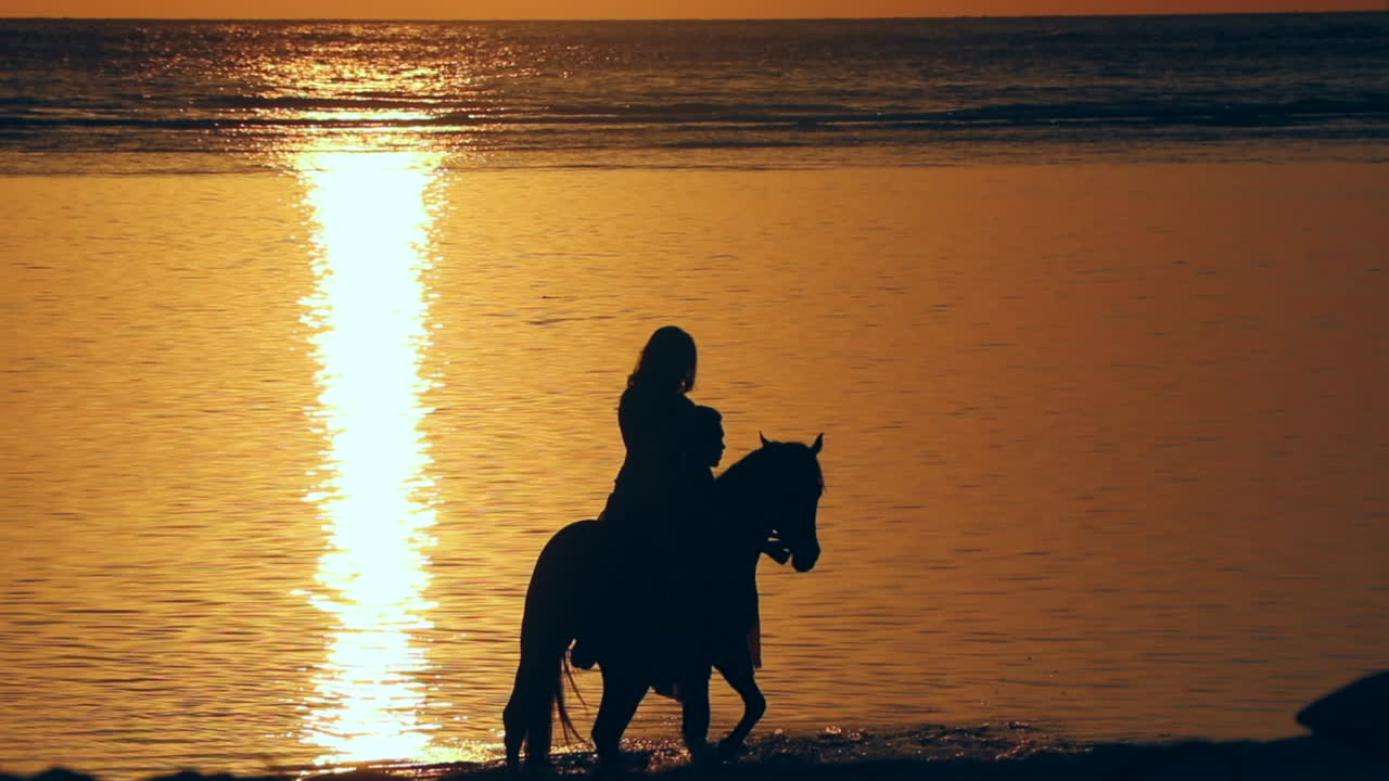 Premium stock video - Sunset silhouette of a woman at the beach on a ...