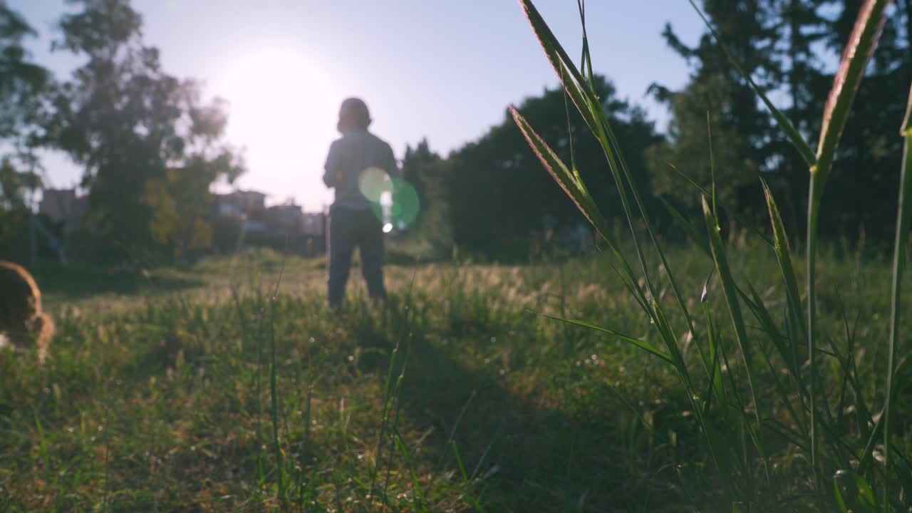 백인 5 살 소년의 넓은 뒷면, 태양에 대항하여 에서 놀고, 모자를 입고 4k