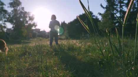 Wide-back-view-of-caucasian-five-years-old-boy,-playing-in-the-fields-against-the-sun,-wearing-a-hat-4k