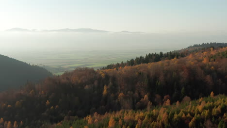 Paso-Elevado-Sobre-El-Pintoresco-Paisaje-Otoñal-Hacia-El-Valle-Cubierto-De-Niebla