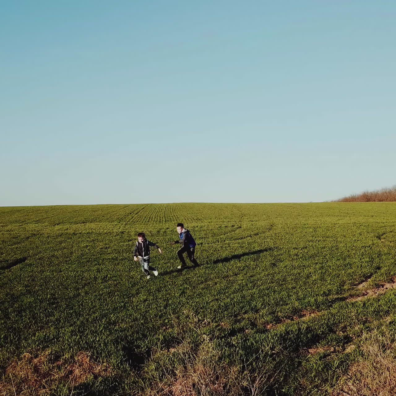 Two happy brothers running together on a beautiful green field. Aerial view