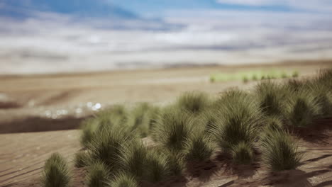 paisaje desértico en el parque nacional del cráter