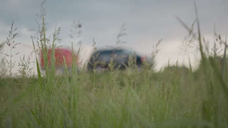 tall wild grass sways in foreground while blurred parked cars fade into soft distance under overcast sky, blending natural tranquility in remote countryside roadside setting