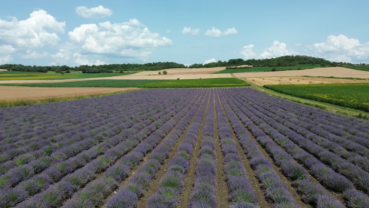 lavanda de amor y sentimientos en los campos con un avión no tripulado