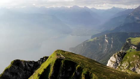 Sobrevuelo-Aéreo-Sobre-La-Cumbre-De-Niederbauen-Chulm-Con-El-Lago-Lucerna,-Uri-Y-Fiordos-Y-Acantilados-Junto-Al-Lago-A-La-Vista-En-Una-Mañana-Dorada-De-Verano-En-Los-Alpes-Suizos-1