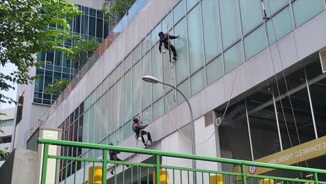 limpiadores colgando de las cuerdas limpiando y lavando la pared exterior de un edificio de gran altura en la ciudad