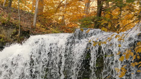 river waterfall in the autumn forest.