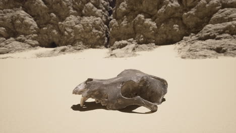 a lone skull rests in a desolate desert landscape