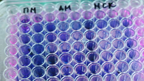 microplate with samples