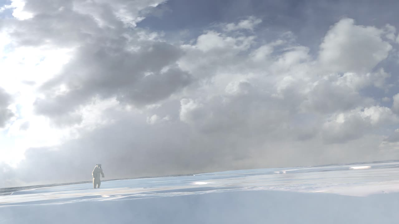 북극의 얼음 위에 있는 북극