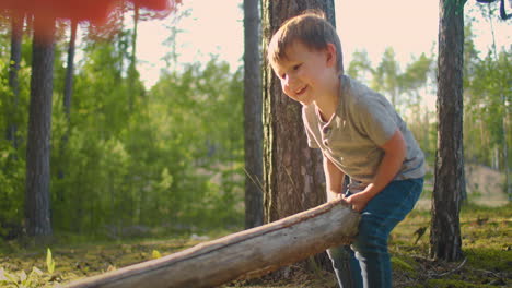 two little boy collecting firewood in the forest. two little brothers in the forest gather wood together and build a fire