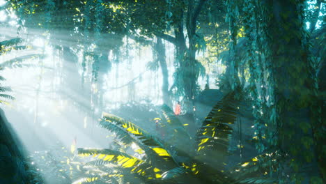 misty-rainforest-and-bright-sun-beams-through-trees-branches