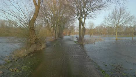 flooded ems river overflowing on flood plains in emsland, germany