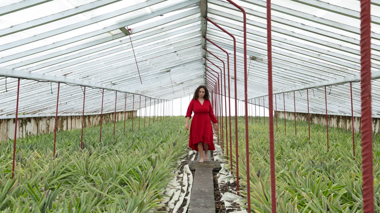 una foto de una mujer de rojo caminando en cámara lenta a lo largo de un invernadero de piña, azores
