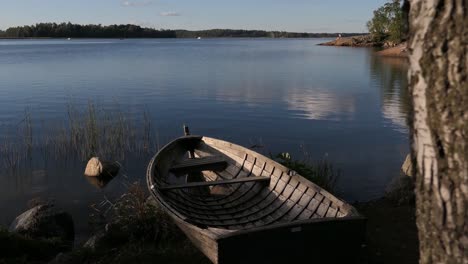 old wooden boat by calm water, tree reveal shot, idyllic clean nature