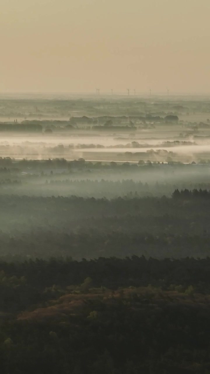 Fog gently rolls over a sprawling pine forest in the early morning light, with distant wind turbines visible. Ideal for environmental documentaries or serene landscape projects.