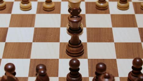 the black and white chess king face each other