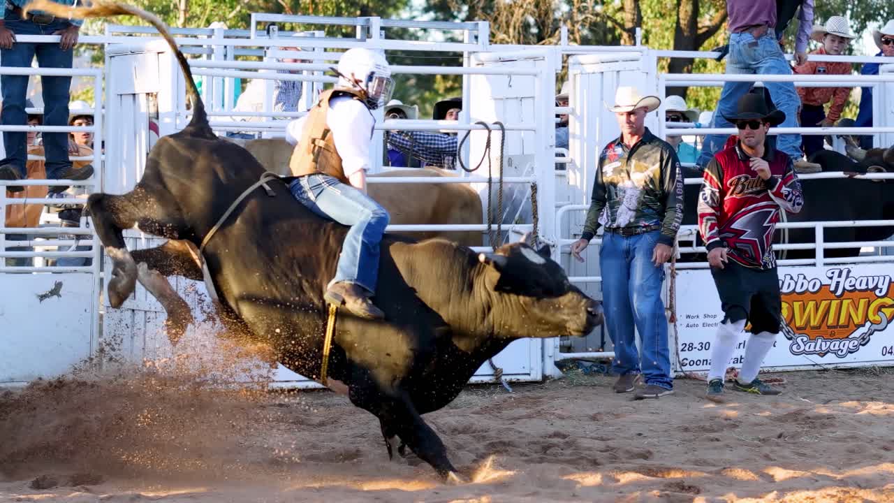 A bull rider is thrown off during a rodeo event, showcasing intense action and skill.