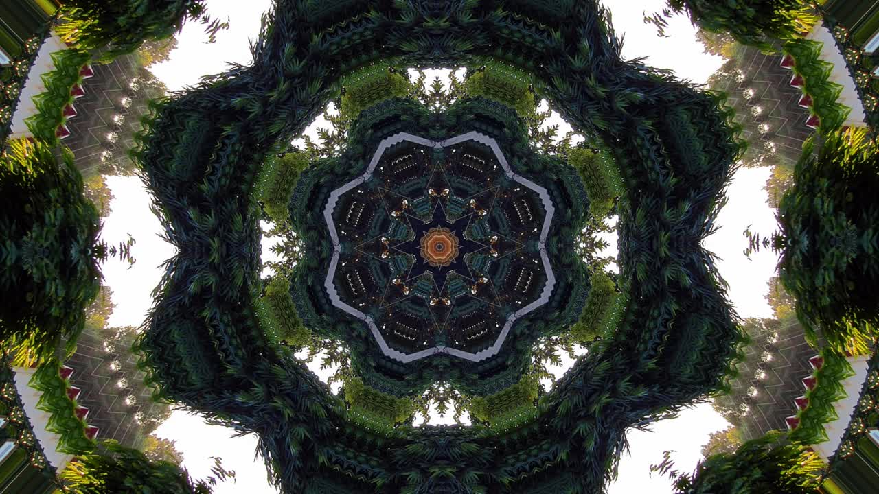 coloridos patrones simétricos caleidoscopio botánico mandala geometría papel tapiz - animación fractal multicolor ilustración vectorial tribal