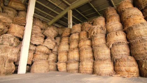 agriculture warehouse. haystacks in factory hangar. storage warehouse