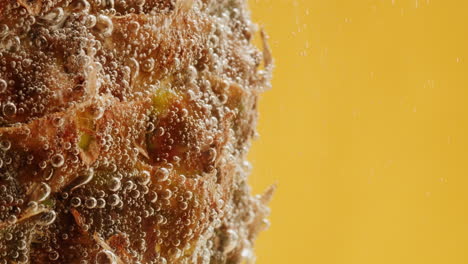 pineapple in water with bubbles