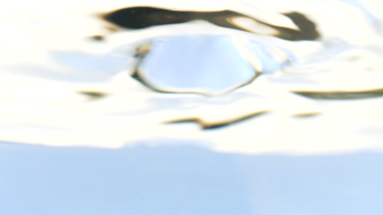 물속의 분홍색 꽃