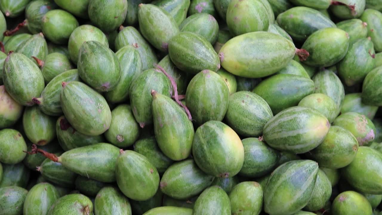 다른 각도에서 가까운 농장의 신선한 유기농 뾰족한 조롱박