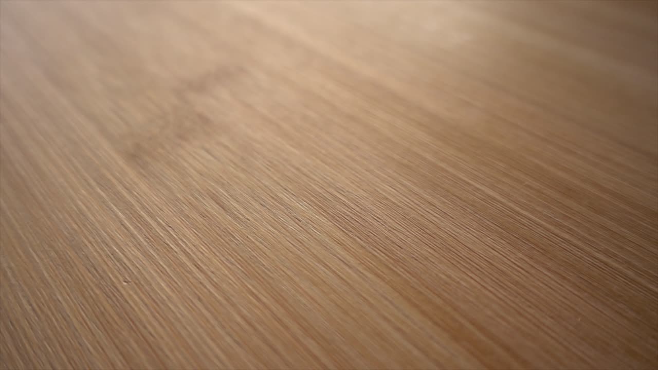 나무 배경 느린 동작 비디오