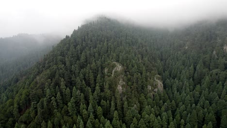 receding drone shot of the forests surrounding mexico city at cloudy sunrise