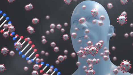 Animation-Von-Covid-19-Zellen,-Menschlicher-Büste-Und-DNA-Strangspinnen