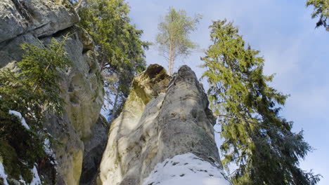 Vidzeme-De-Letonia-En-El-Mes-De-Enero