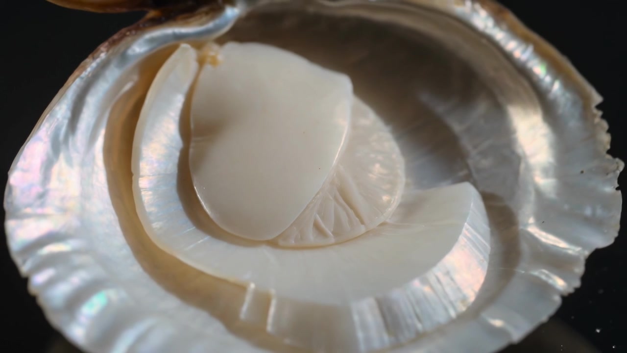 La telecamera si allontana, evidenziando una conchiglia di mollusco con madreperla su un tavolo scuro, con un disco bianco all'interno