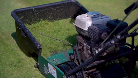 mowing a lawn with a reel mower and cutting grass in slow motion