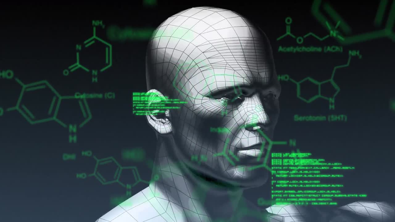 modelo 3d de un ser humano