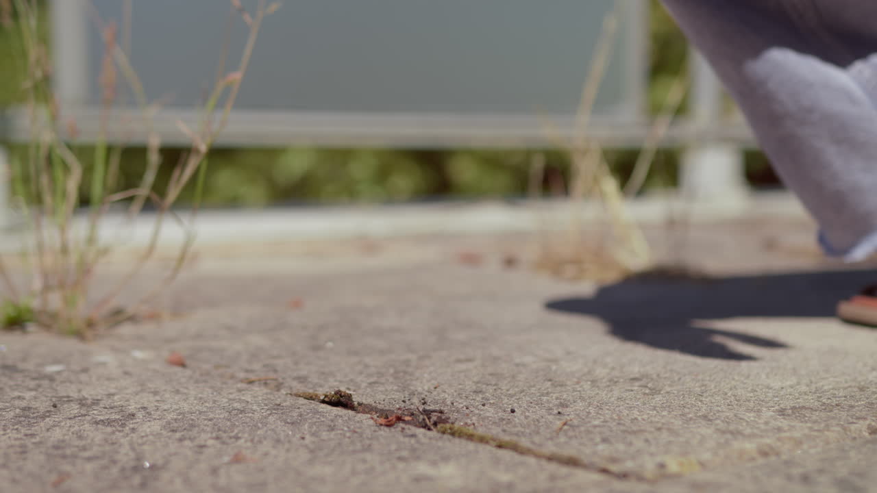 Hand Remove Grass From Paving Stones - Close Up