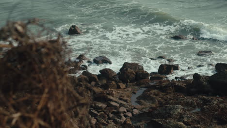 Dry-grass-in-front,-behind-is-the-sea