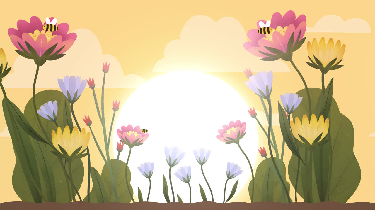 Beautiful Blooming Flowers at Sunrise/Sunset