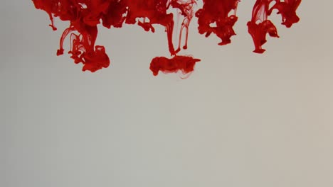 beautiful color art creation underwater - red ink dropped in water - slow mo