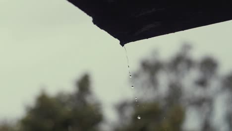 rain drops falling in slow-motion bleak weather