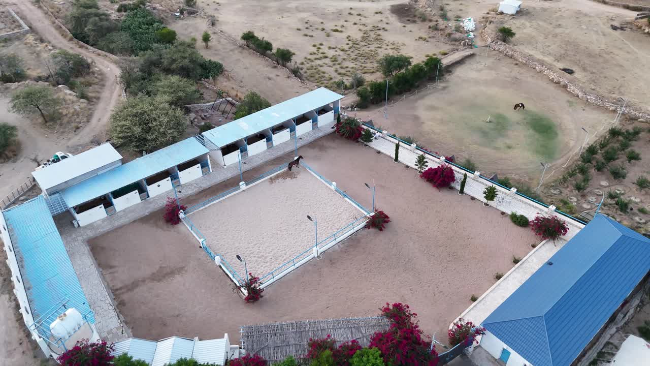Drone flying around a horse at a farm, cloudy day on the Saudi Arabian countryside
