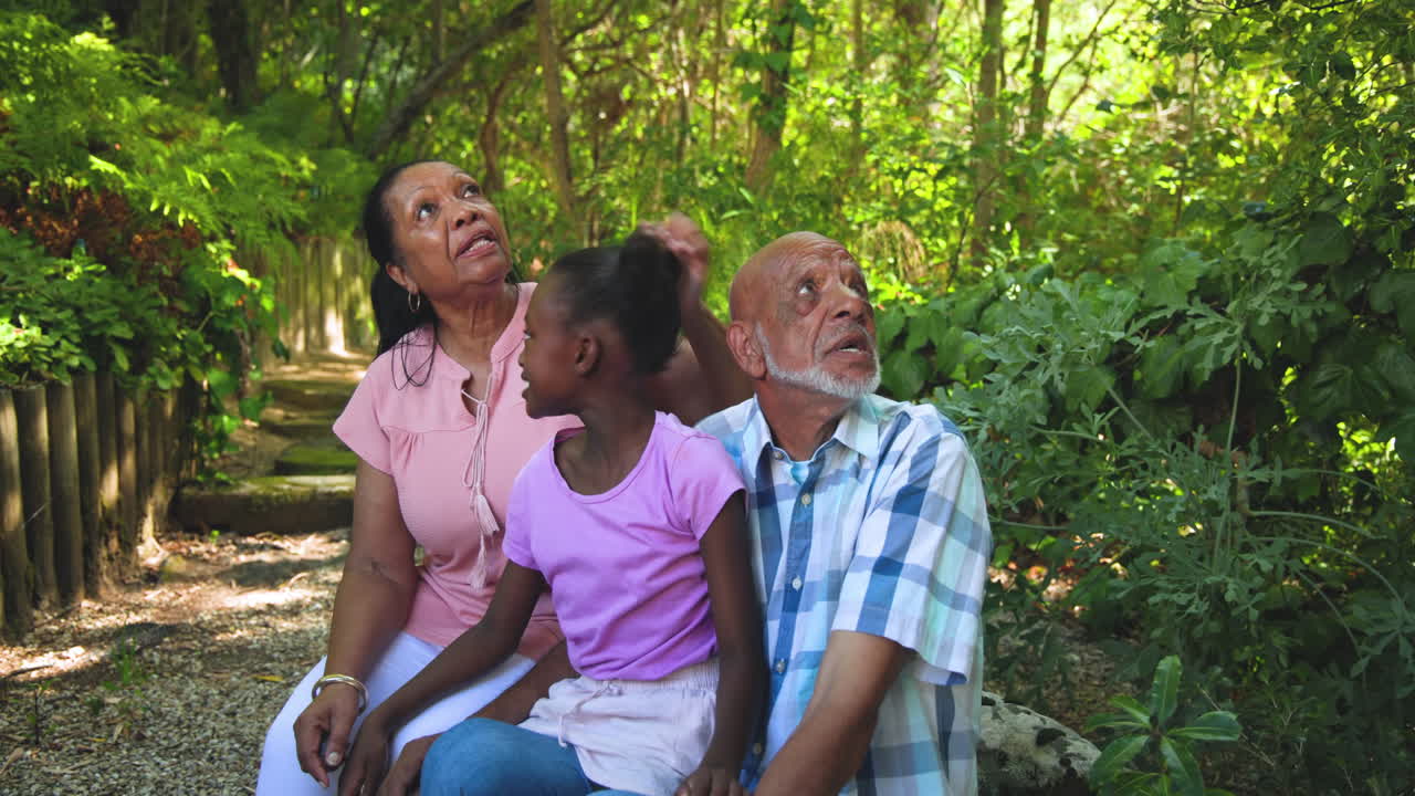 In nature, diverse grandparents with granddaughter sitting together, pointing at scenery